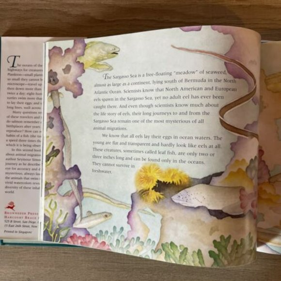 They Swim the Seas : The Mystery of Animal Migration by Seymour Simon - Picture 4 of 7